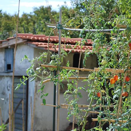 Apartament Casa S.Maria Levane Zewnętrze zdjęcie